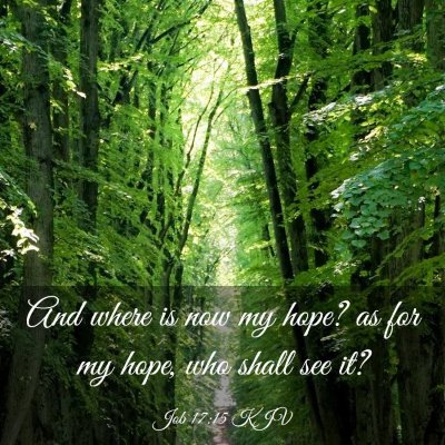 Picture 03 - Job 17:15 KJV - And where is now my hope? as for my hope, who - Bible Verse Picture