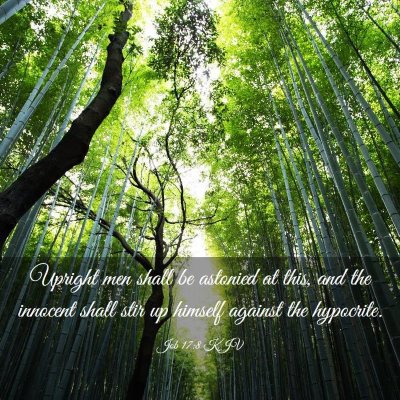 Picture 03 - Job 17:8 KJV - Upright men shall be astonied at this, and the - Bible Verse Picture