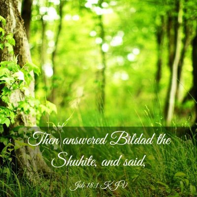 Picture 03 - Job 18:1 KJV - Then answered Bildad the Shuhite, and - Bible Verse Picture