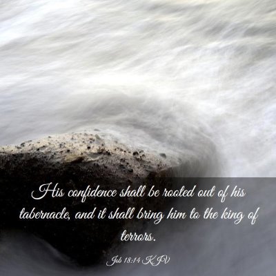 Picture 03 - Job 18:14 KJV - His confidence shall be rooted out of his - Bible Verse Picture