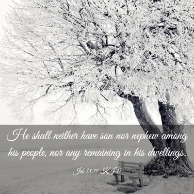 Picture 03 - Job 18:19 KJV - He shall neither have son nor nephew among his - Bible Verse Picture