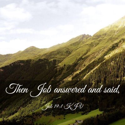 Picture 03 - Job 19:1 KJV - Then Job answered and - Bible Verse Picture