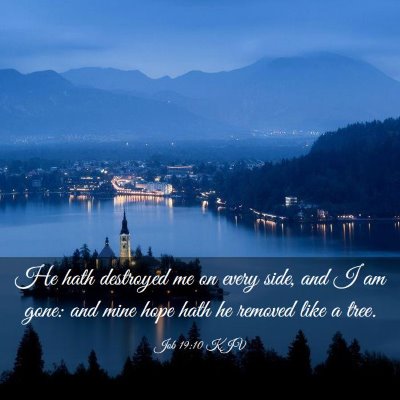 Picture 03 - Job 19:10 KJV - He hath destroyed me on every side, and I am - Bible Verse Picture