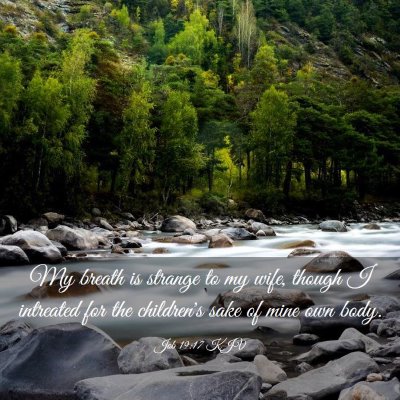 Picture 03 - Job 19:17 KJV - My breath is strange to my wife, though I - Bible Verse Picture