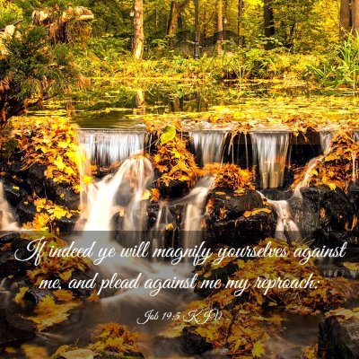 Picture 03 - Job 19:5 KJV - If indeed ye will magnify yourselves against me, - Bible Verse Picture