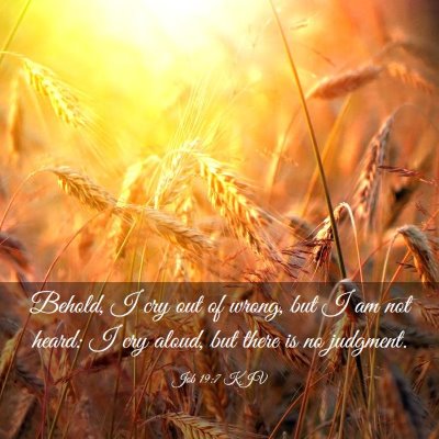Picture 03 - Job 19:7 KJV - Behold, I cry out of wrong, but I am not heard: I - Bible Verse Picture