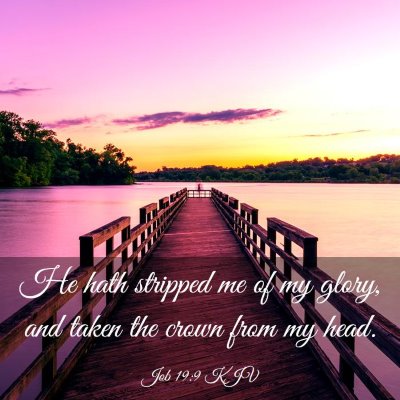 Picture 03 - Job 19:9 KJV - He hath stripped me of my glory, and taken the - Bible Verse Picture