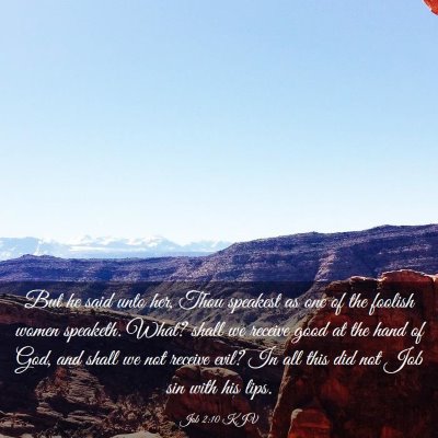 Picture 03 - Job 2:10 KJV - But he said unto her, Thou speakest as one of the - Bible Verse Picture
