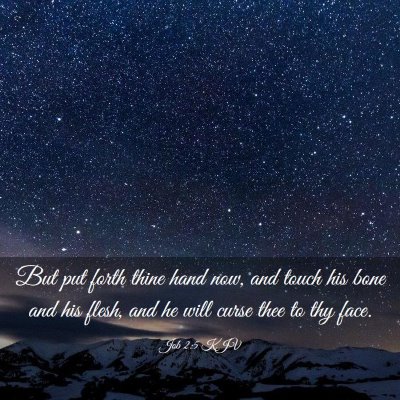 Picture 03 - Job 2:5 KJV - But put forth thine hand now, and touch his bone - Bible Verse Picture