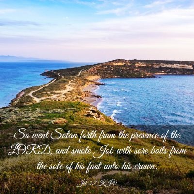 Picture 03 - Job 2:7 KJV - So went Satan forth from the presence of the - Bible Verse Picture