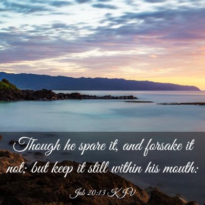 Picture 03 - Job 20:13 KJV - Though he spare it, and forsake it not; but keep - Bible Verse Picture