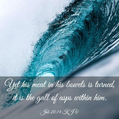 Picture 03 - Job 20:14 KJV - Yet his meat in his bowels is turned, it is the - Bible Verse Picture