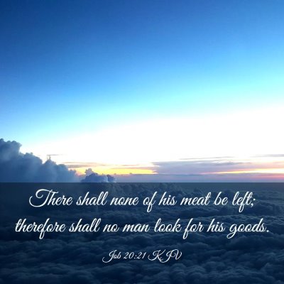 Picture 03 - Job 20:21 KJV - There shall none of his meat be left; therefore - Bible Verse Picture