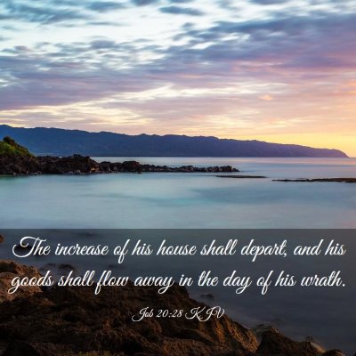 Picture 03 - Job 20:28 KJV - The increase of his house shall depart, and his - Bible Verse Picture