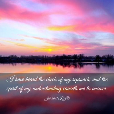 Picture 03 - Job 20:3 KJV - I have heard the check of my reproach, and the - Bible Verse Picture