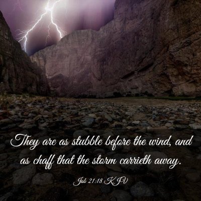 Picture 03 - Job 21:18 KJV - They are as stubble before the wind, and as chaff - Bible Verse Picture