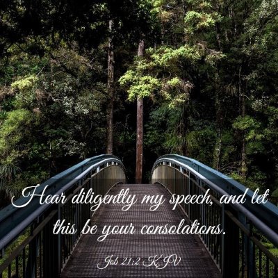Picture 03 - Job 21:2 KJV - Hear diligently my speech, and let this be your - Bible Verse Picture