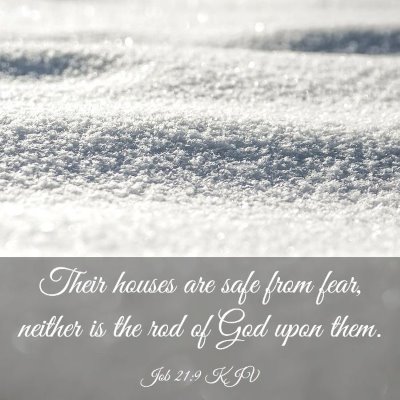 Picture 03 - Job 21:9 KJV - Their houses are safe from fear, neither is the - Bible Verse Picture