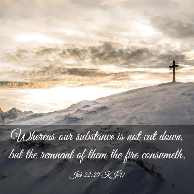 Picture 03 - Job 22:20 KJV - Whereas our substance is not cut down, but the - Bible Verse Picture