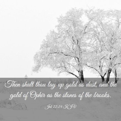 Picture 03 - Job 22:24 KJV - Then shalt thou lay up gold as dust, and the gold - Bible Verse Picture