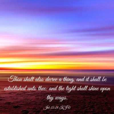Picture 03 - Job 22:28 KJV - Thou shalt also decree a thing, and it shall be - Bible Verse Picture
