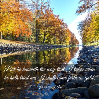 Picture 03 - Job 23:10 KJV - But he knoweth the way that I take: when he hath - Bible Verse Picture