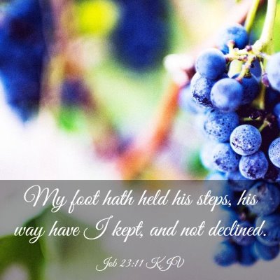 Picture 03 - Job 23:11 KJV - My foot hath held his steps, his way have I kept, - Bible Verse Picture