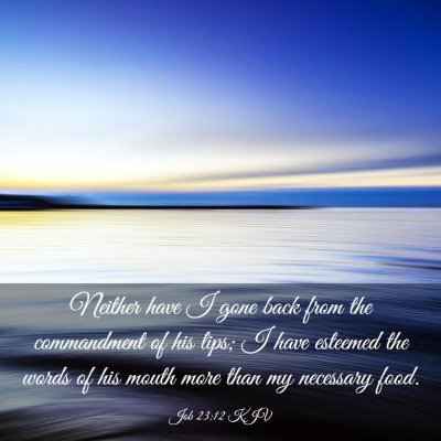 Picture 03 - Job 23:12 KJV - Neither have I gone back from the commandment of - Bible Verse Picture