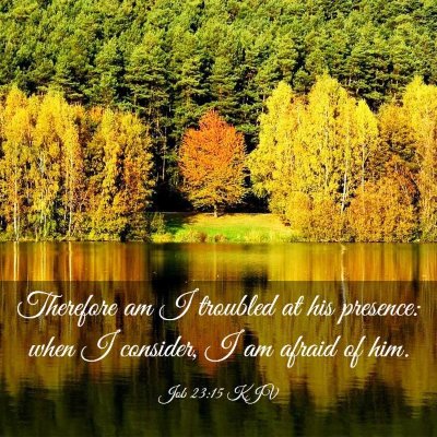 Picture 03 - Job 23:15 KJV - Therefore am I troubled at his presence: when I - Bible Verse Picture