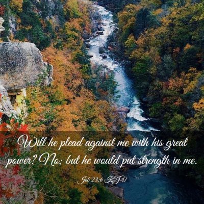 Picture 03 - Job 23:6 KJV - Will he plead against me with his great power? - Bible Verse Picture