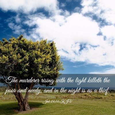 Picture 03 - Job 24:14 KJV - The murderer rising with the light killeth the - Bible Verse Picture