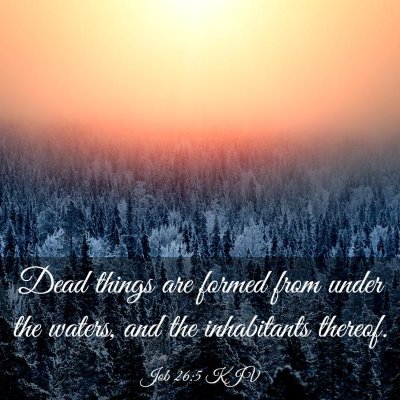 Picture 03 - Job 26:5 KJV - Dead things are formed from under the waters, and - Bible Verse Picture