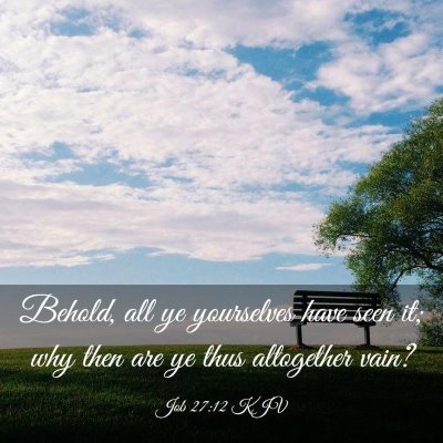 Picture 03 - Job 27:12 KJV - Behold, all ye yourselves have seen it; why then - Bible Verse Picture