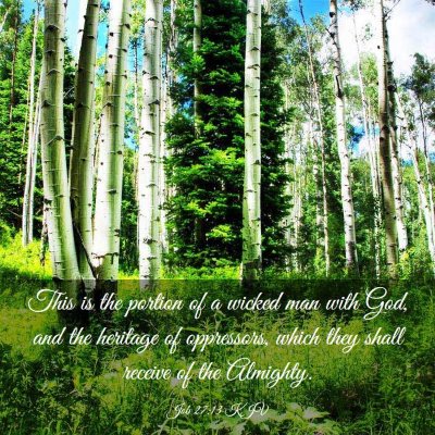 Picture 03 - Job 27:13 KJV - This is the portion of a wicked man with God, and - Bible Verse Picture