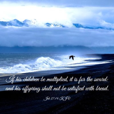 Picture 03 - Job 27:14 KJV - If his children be multiplied, it is for the - Bible Verse Picture