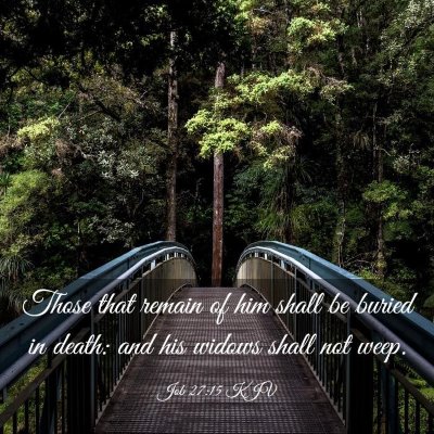 Picture 03 - Job 27:15 KJV - Those that remain of him shall be buried in - Bible Verse Picture