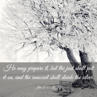 Picture 03 - Job 27:17 KJV - He may prepare it, but the just shall put it on, - Bible Verse Picture