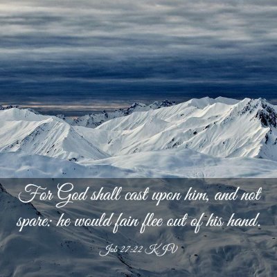 Picture 03 - Job 27:22 KJV - For God shall cast upon him, and not spare: he - Bible Verse Picture