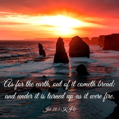 Picture 03 - Job 28:5 KJV - As for the earth, out of it cometh bread: and - Bible Verse Picture
