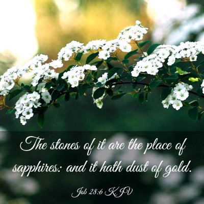 Picture 03 - Job 28:6 KJV - The stones of it are the place of sapphires: and - Bible Verse Picture