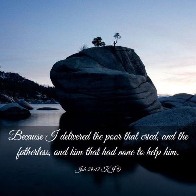 Picture 03 - Job 29:12 KJV - Because I delivered the poor that cried, and the - Bible Verse Picture