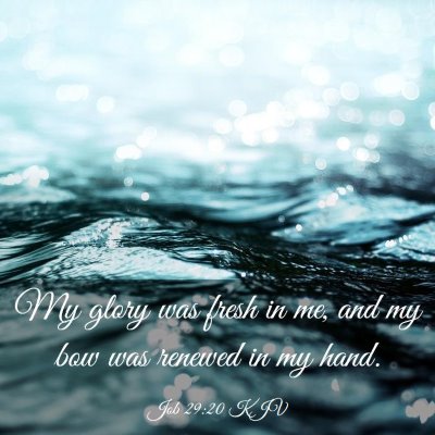 Picture 03 - Job 29:20 KJV - My glory was fresh in me, and my bow was renewed - Bible Verse Picture