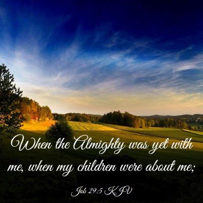 Picture 03 - Job 29:5 KJV - When the Almighty was yet with me, when my - Bible Verse Picture