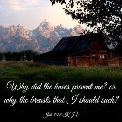 Picture 03 - Job 3:12 KJV - Why did the knees prevent me? or why the breasts - Bible Verse Picture