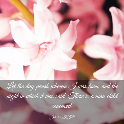 Picture 03 - Job 3:3 KJV - Let the day perish wherein I was born, and the - Bible Verse Picture