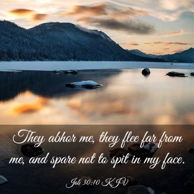 Picture 03 - Job 30:10 KJV - They abhor me, they flee far from me, and spare - Bible Verse Picture