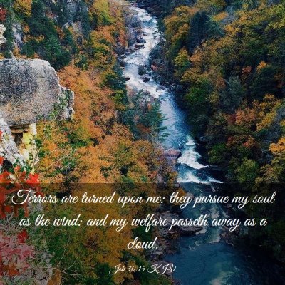 Picture 03 - Job 30:15 KJV - Terrors are turned upon me: they pursue my soul - Bible Verse Picture