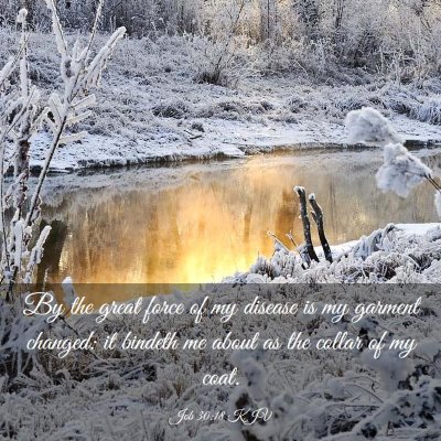 Picture 03 - Job 30:18 KJV - By the great force of my disease is my garment - Bible Verse Picture