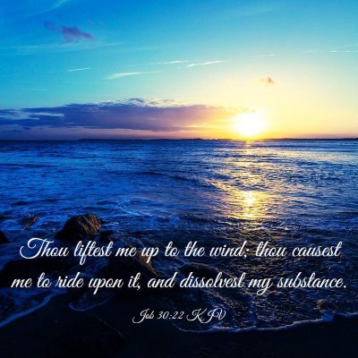 Picture 03 - Job 30:22 KJV - Thou liftest me up to the wind; thou causest me - Bible Verse Picture