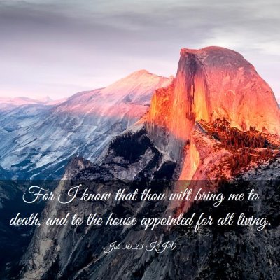 Picture 03 - Job 30:23 KJV - For I know that thou wilt bring me to death, and - Bible Verse Picture